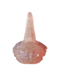 TENTACLE CROWN